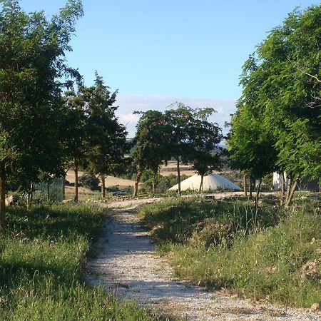Campo De Reyes Hotel Tafalla Eksteriør billede