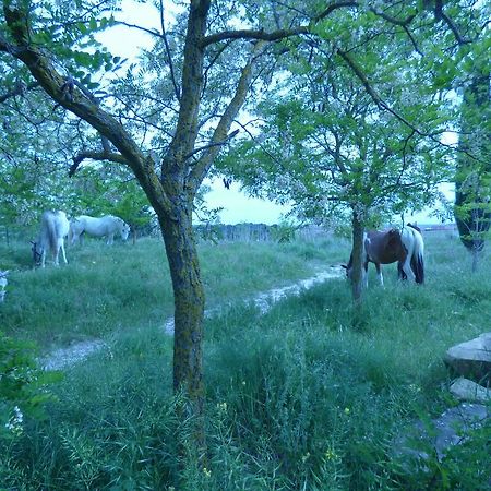 Campo De Reyes Hotel Tafalla Eksteriør billede