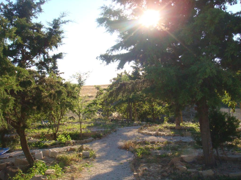 Campo De Reyes Hotel Tafalla Eksteriør billede